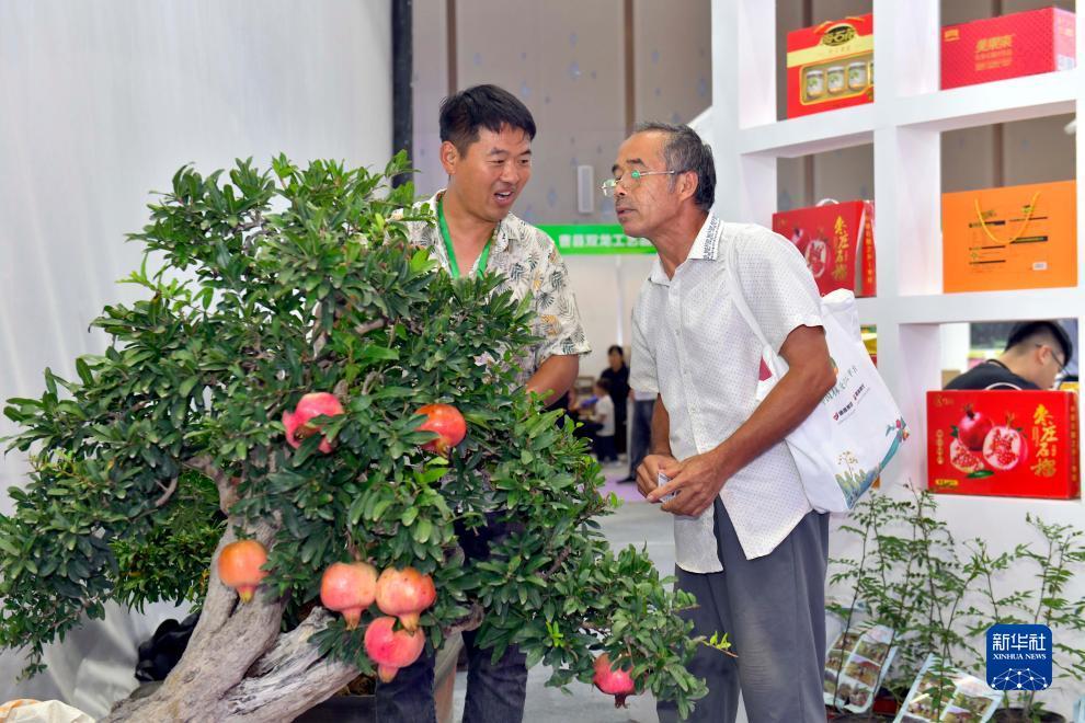 优???pt手机版客?端